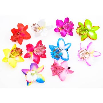 Πλαστικά Κλιπ Μαλλιών Ορχιδέες