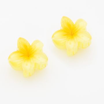 Μίνι Κλάμερ Μαλλιών Λουλούδι 